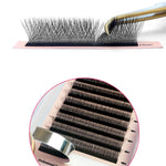 3D clover W premade volume Eyelash Extensions fans, D/0.10/MIX (8-13 mm)
