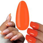 UV/LED color gel for nail extension & modeling 2624, final sale!