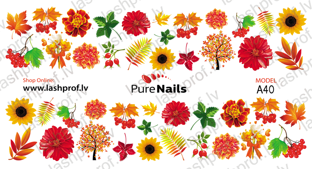 BIS Pure Nails nagu uzlīmes - dizaina slaideri | RUDENS A26-A40