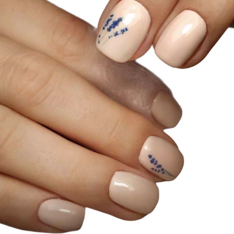 BIS Pure Nails water slider nail design sticker decal LAVANDA, F112