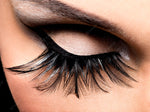 Strip flare lashes in line for make-up, AHPB-14C