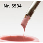 BIS Pure Nails UV/LED paint gel, 5534